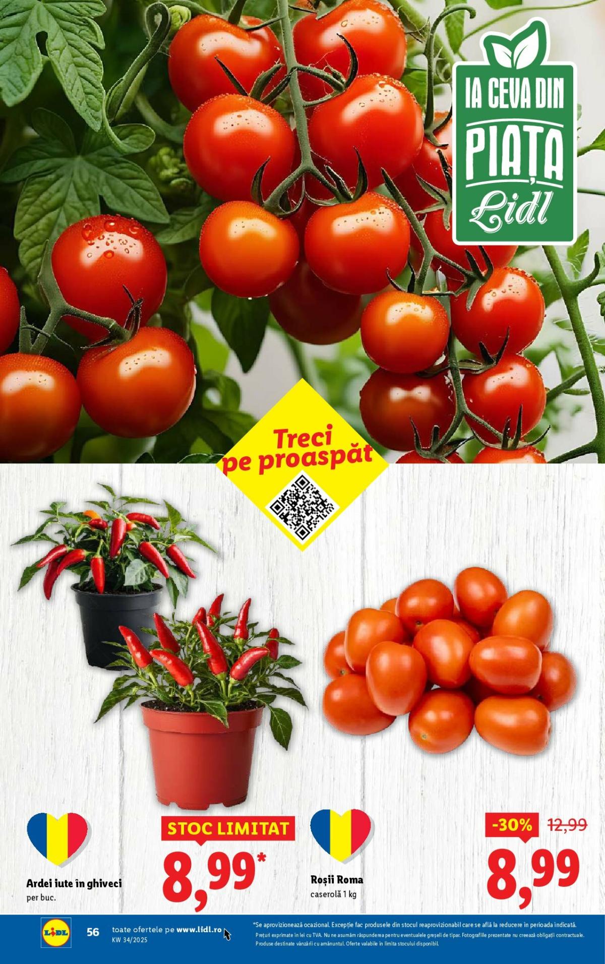 undefined 54