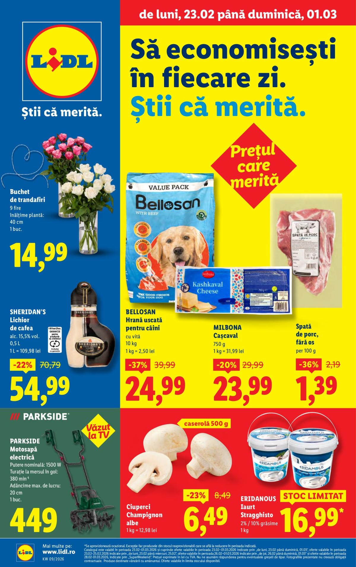 Catalog Lidl online – oferte valabile din 23.02.2026