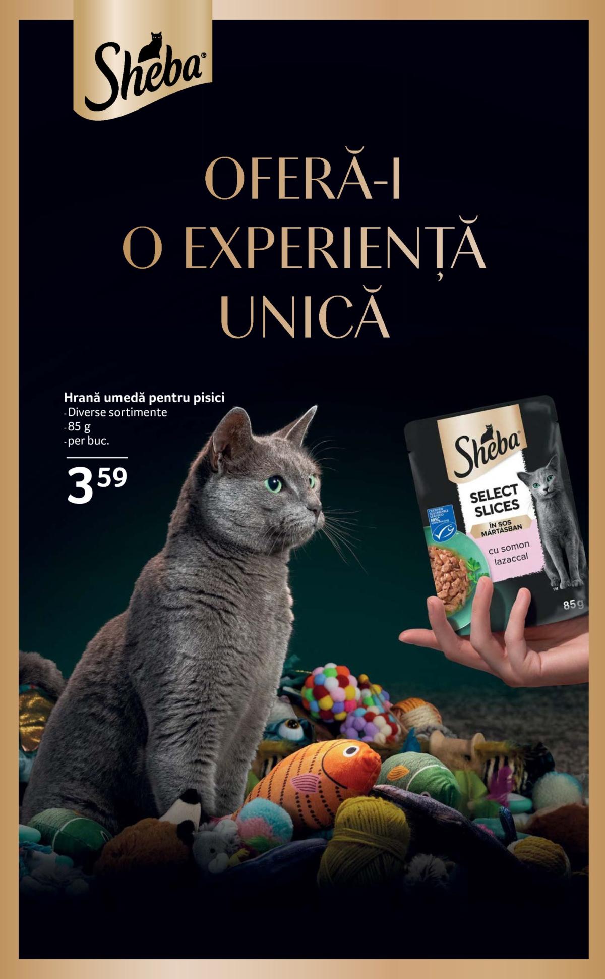undefined 28