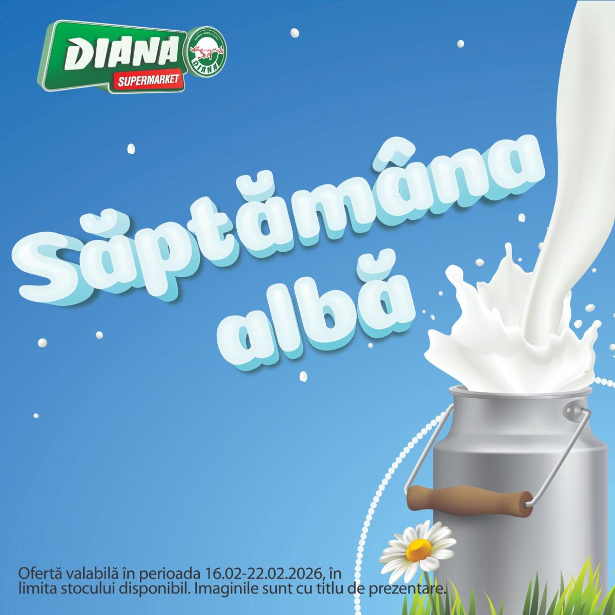 Catalog Diana - Super Ofertă online – oferte valabile din 16.02.2026