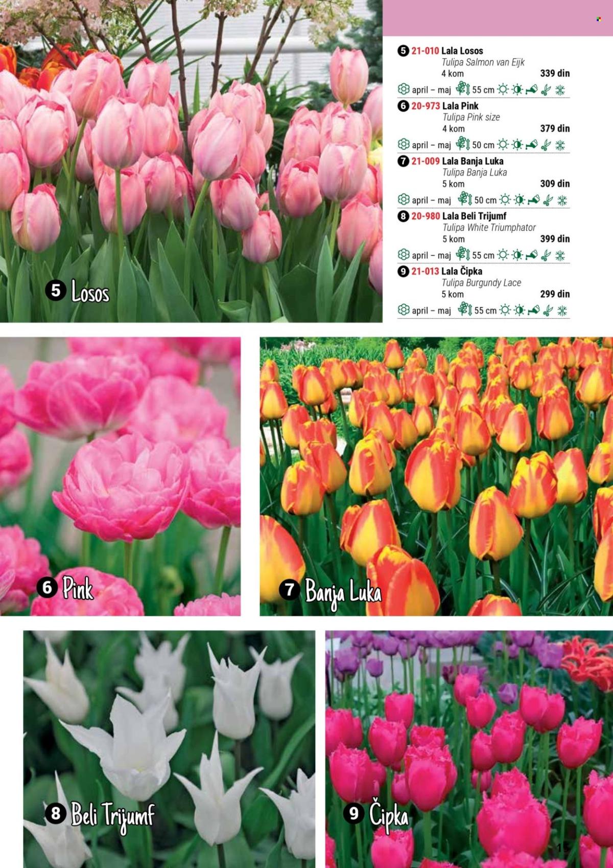 undefined 15
