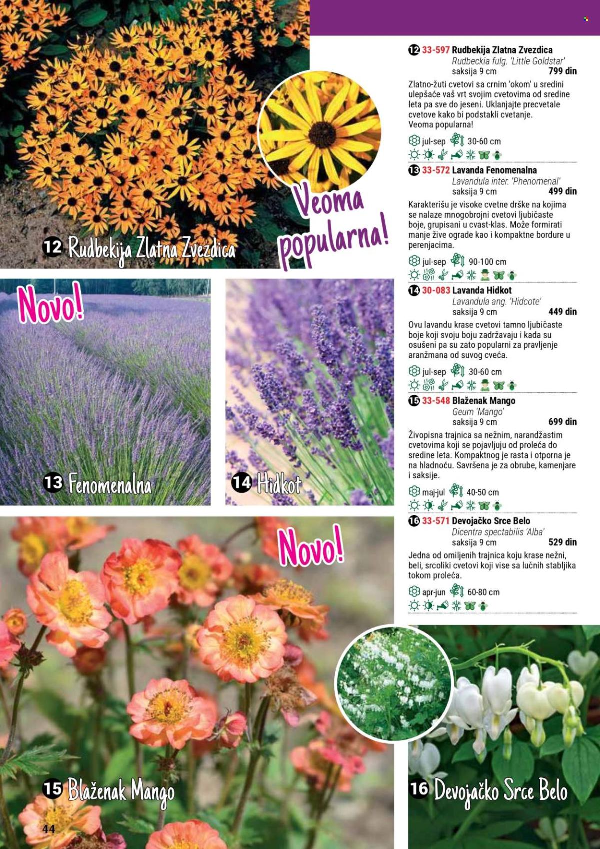 undefined 44