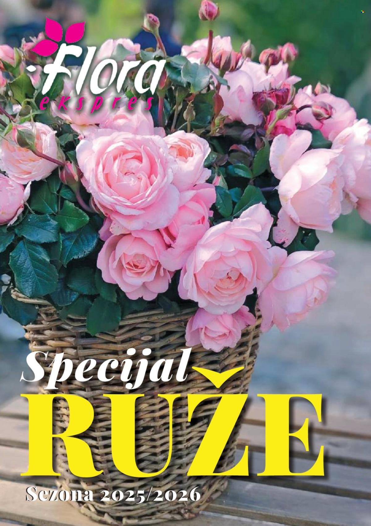 Flora Ekspres katalog novembar 2025