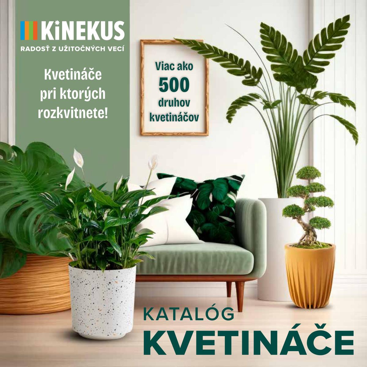 Leták Kinekus - Katalóg Kvetináče platný od 11.06. do 30.06.
