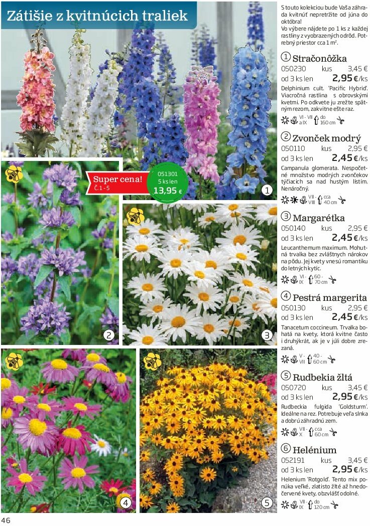 undefined 46
