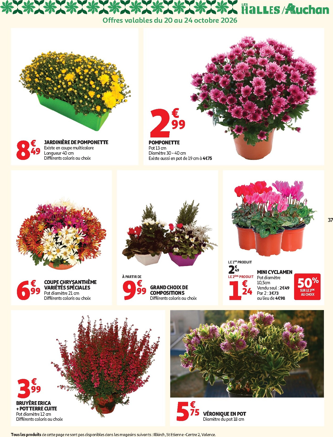undefined 37