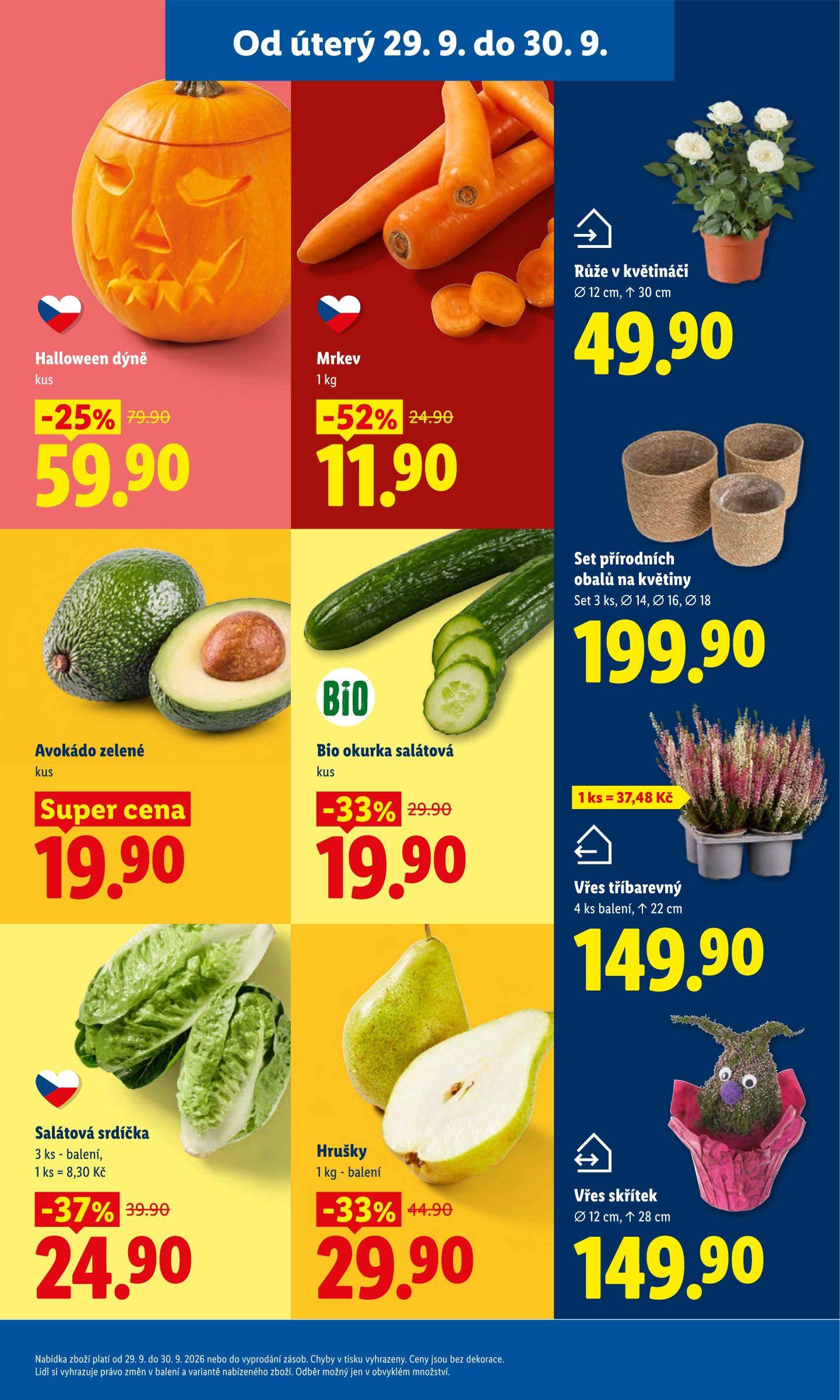 undefined 15