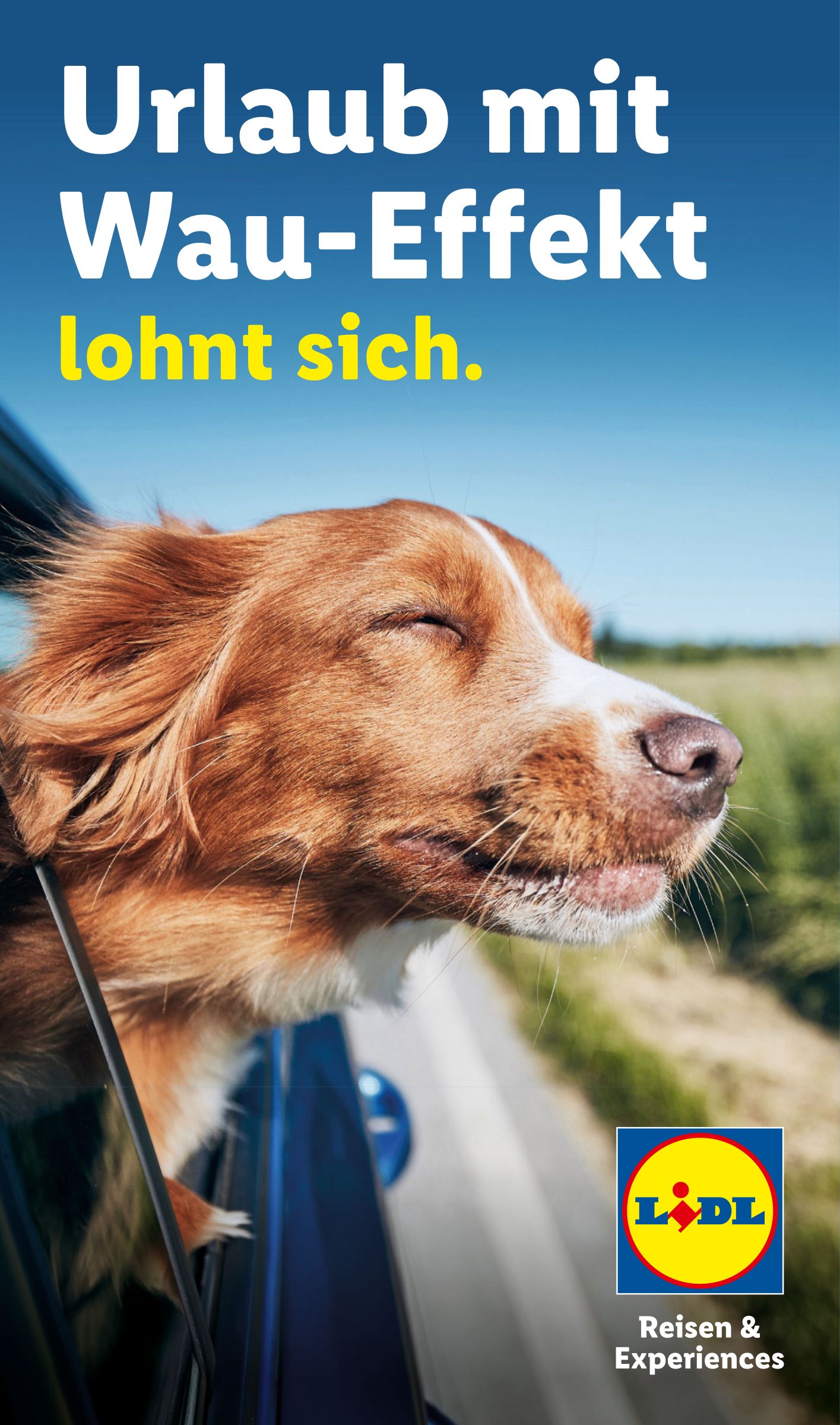 Lidl - Urlaub mit Wau-Effekt lohnt sich Prospekt – von Mittwoch 29.07.2026 bis Montag 31.08.2026