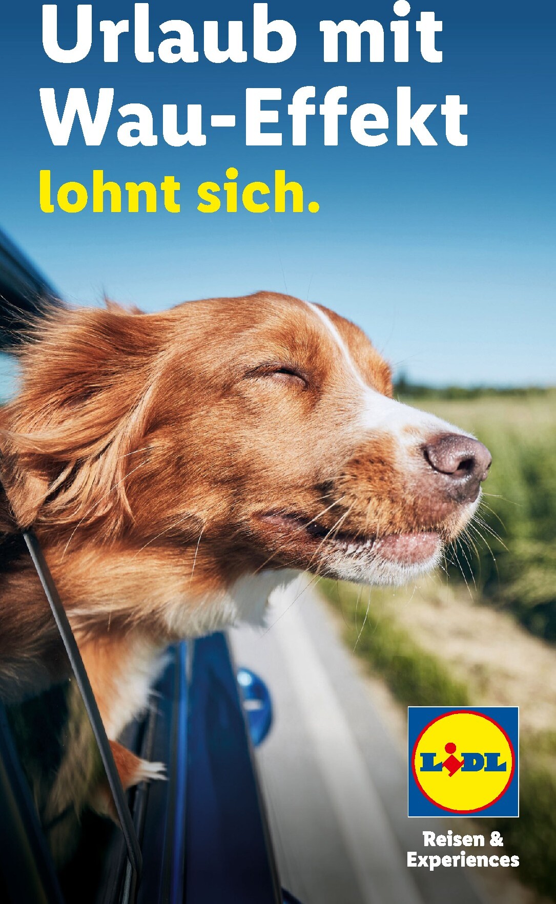 Lidl - Urlaub mit Hund Prospekt – von Mittwoch 29.07.2026 bis Donnerstag 31.12.2026