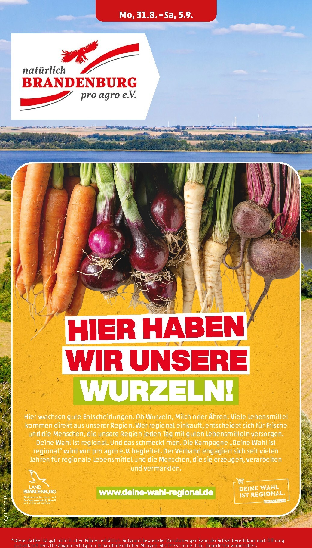 undefined 24