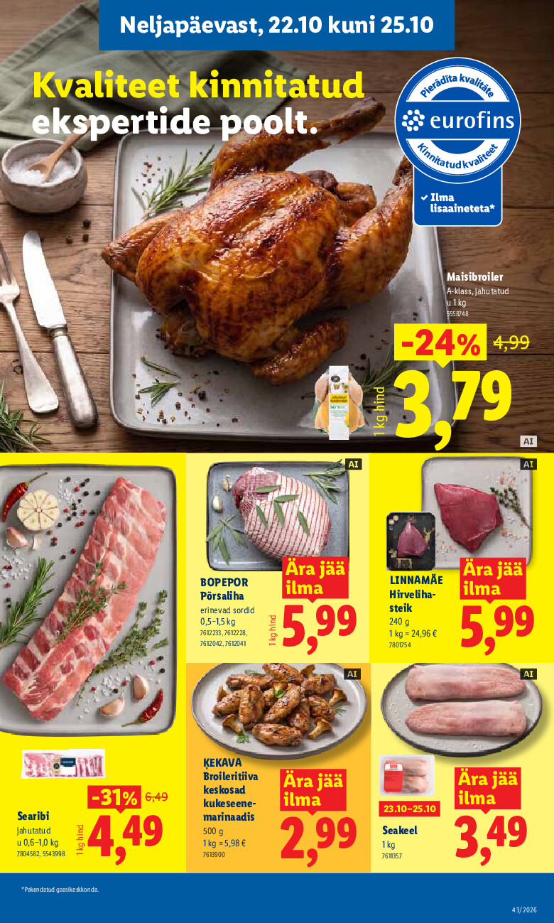 undefined 31
