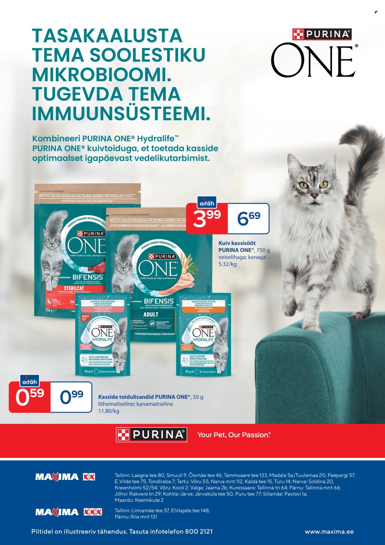 undefined 8
