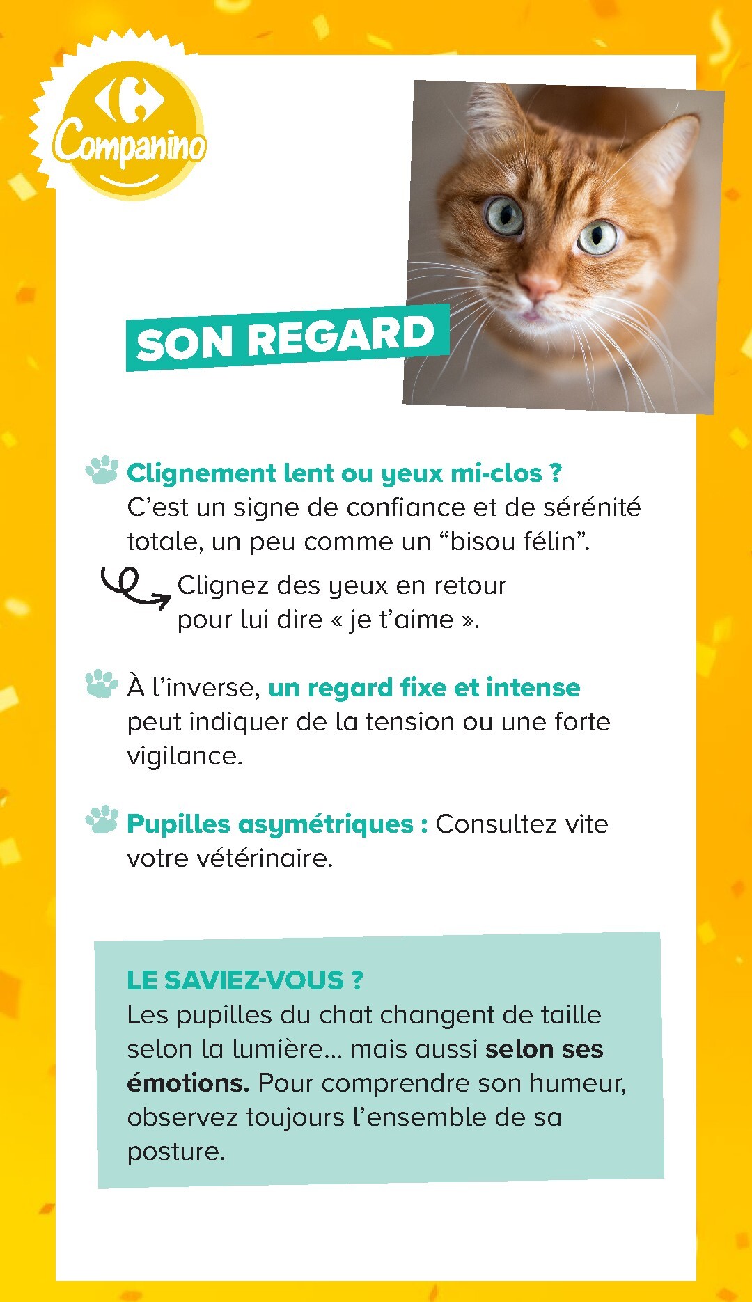undefined 15