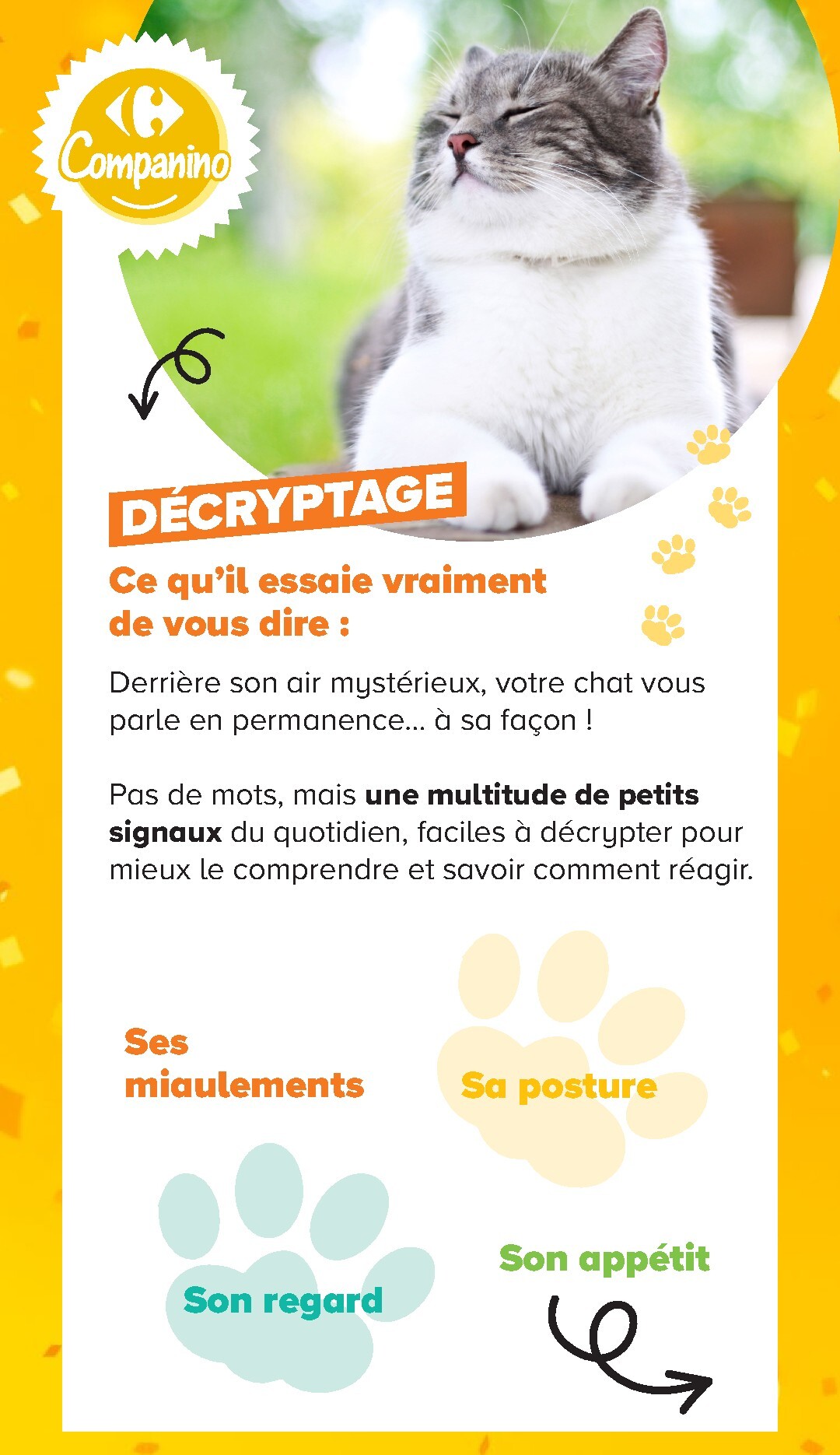 undefined 12