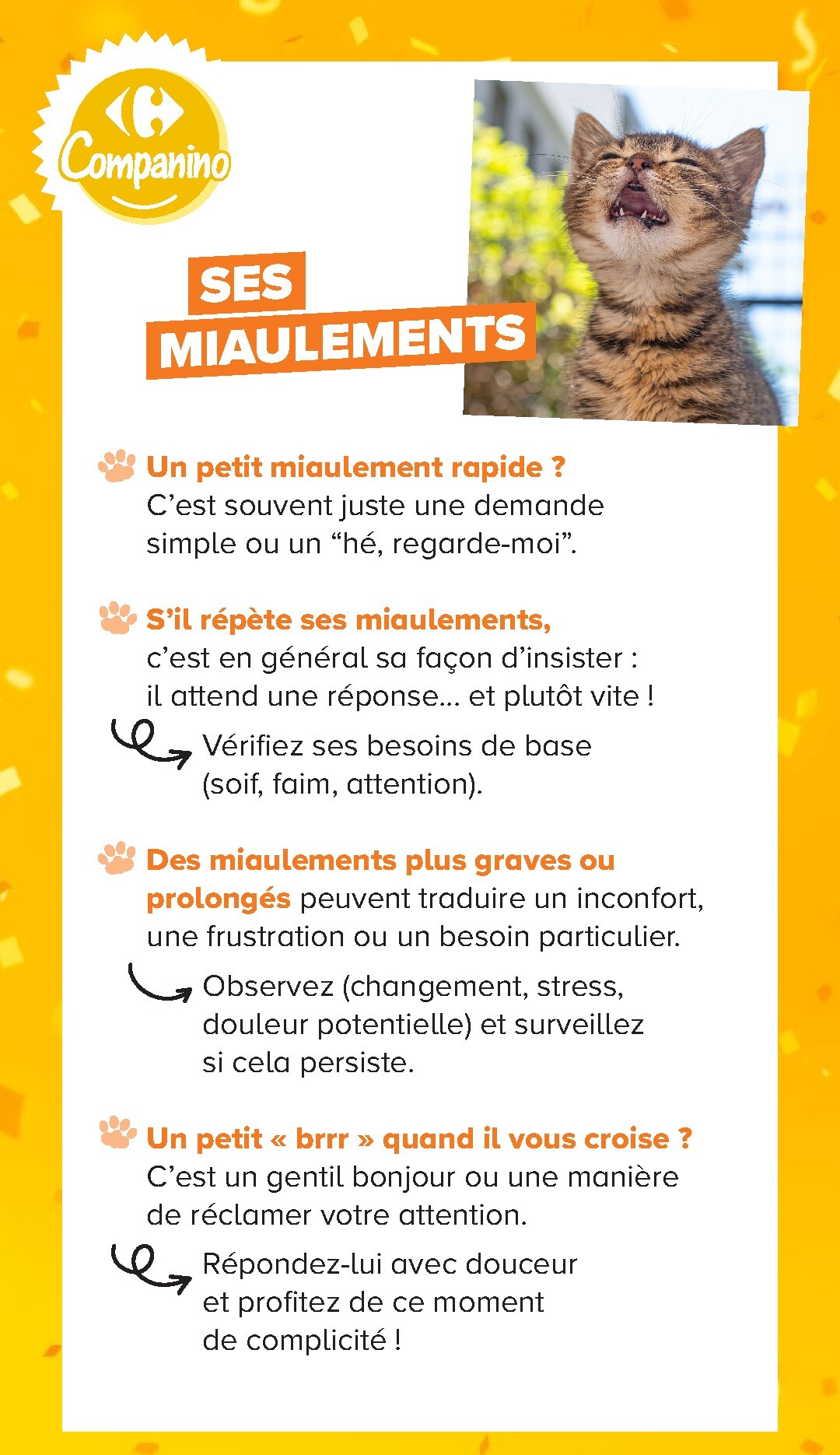 undefined 13