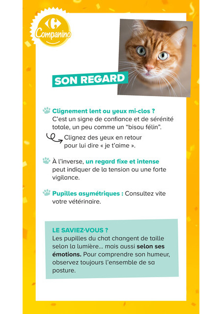 undefined 15