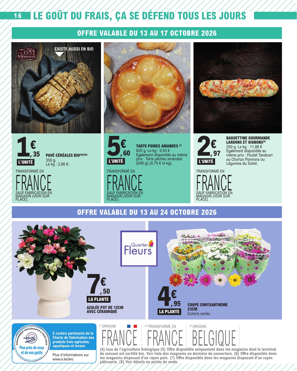 undefined 16