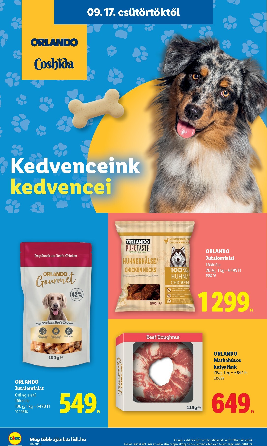 undefined 24