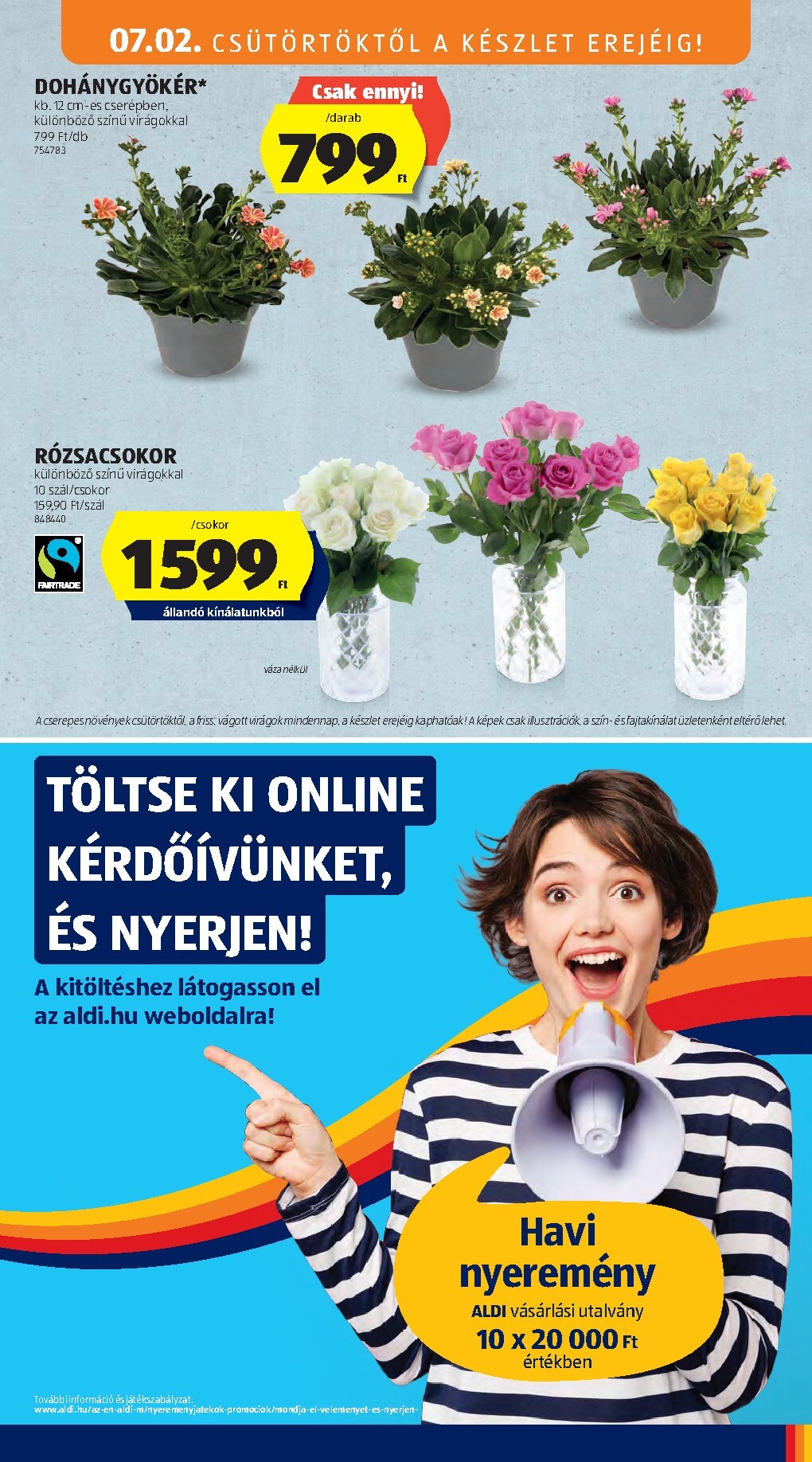 undefined 15