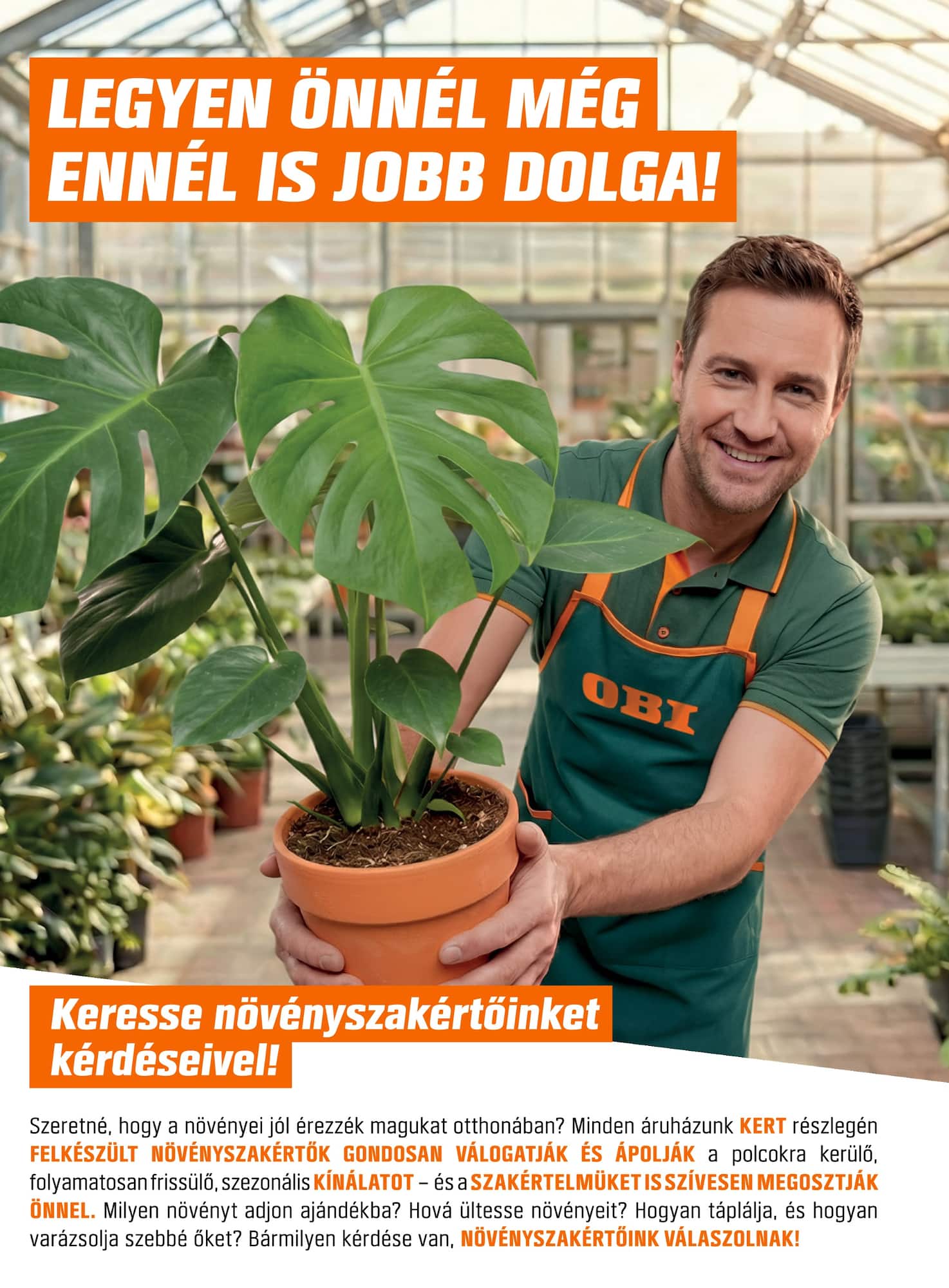 undefined 6