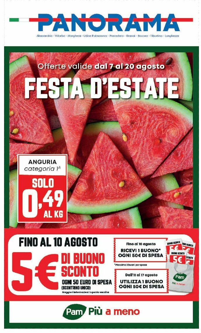Volantino Pam Panorama valido dal 07/08 al 20/08