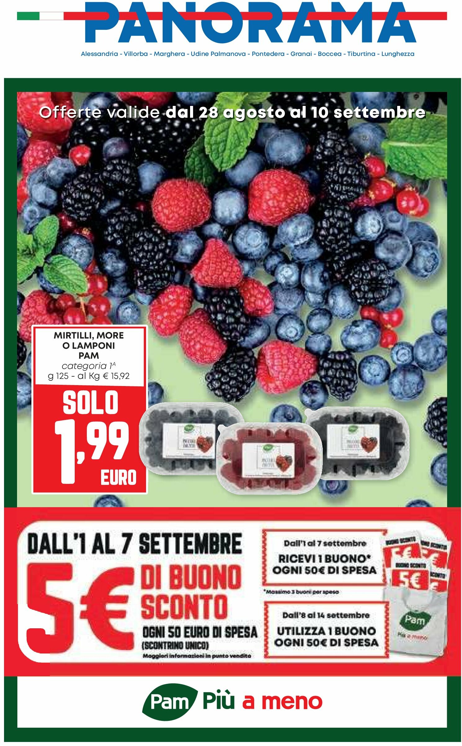 Volantino Pam Panorama valido dal 28/08 al 10/09