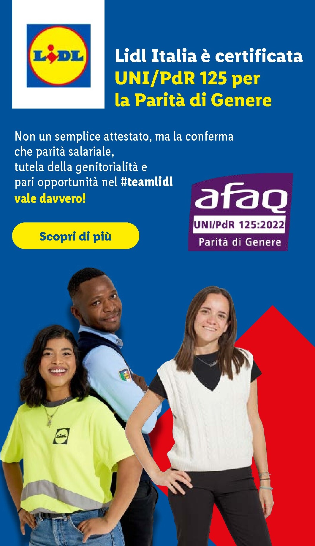 undefined 51