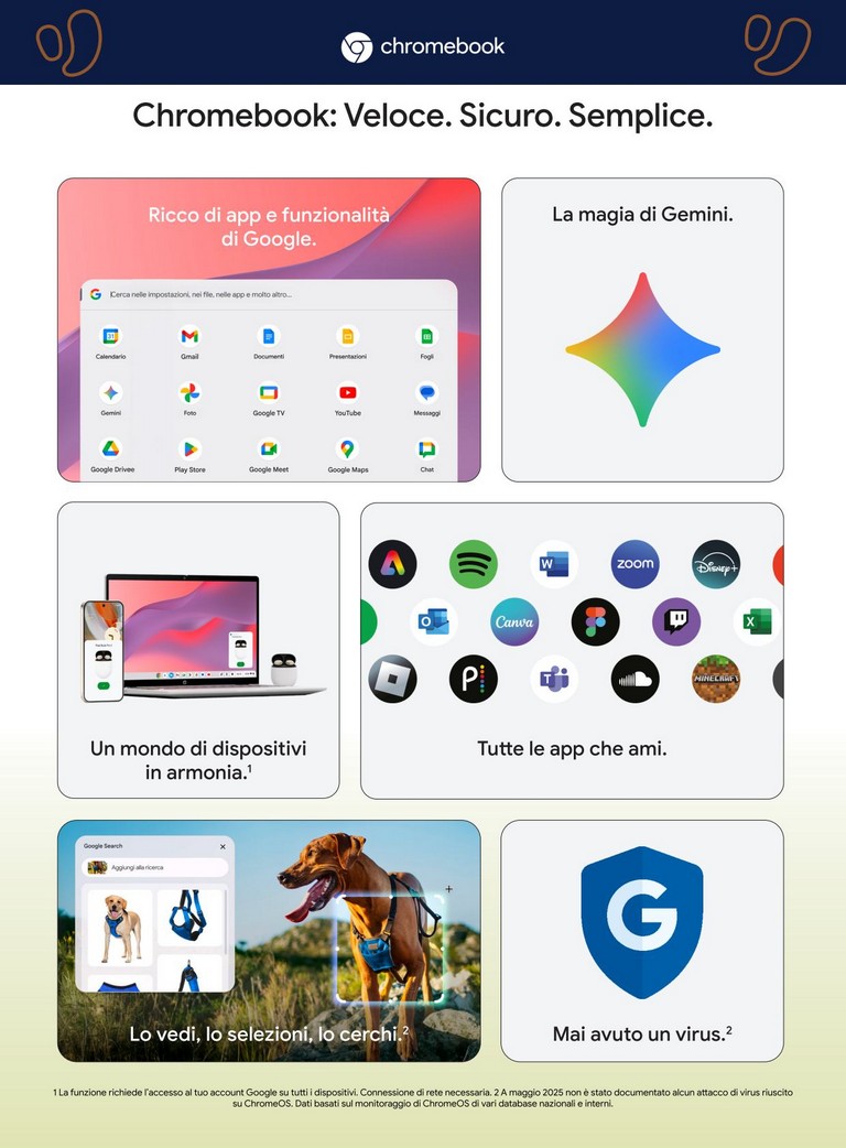 undefined 6