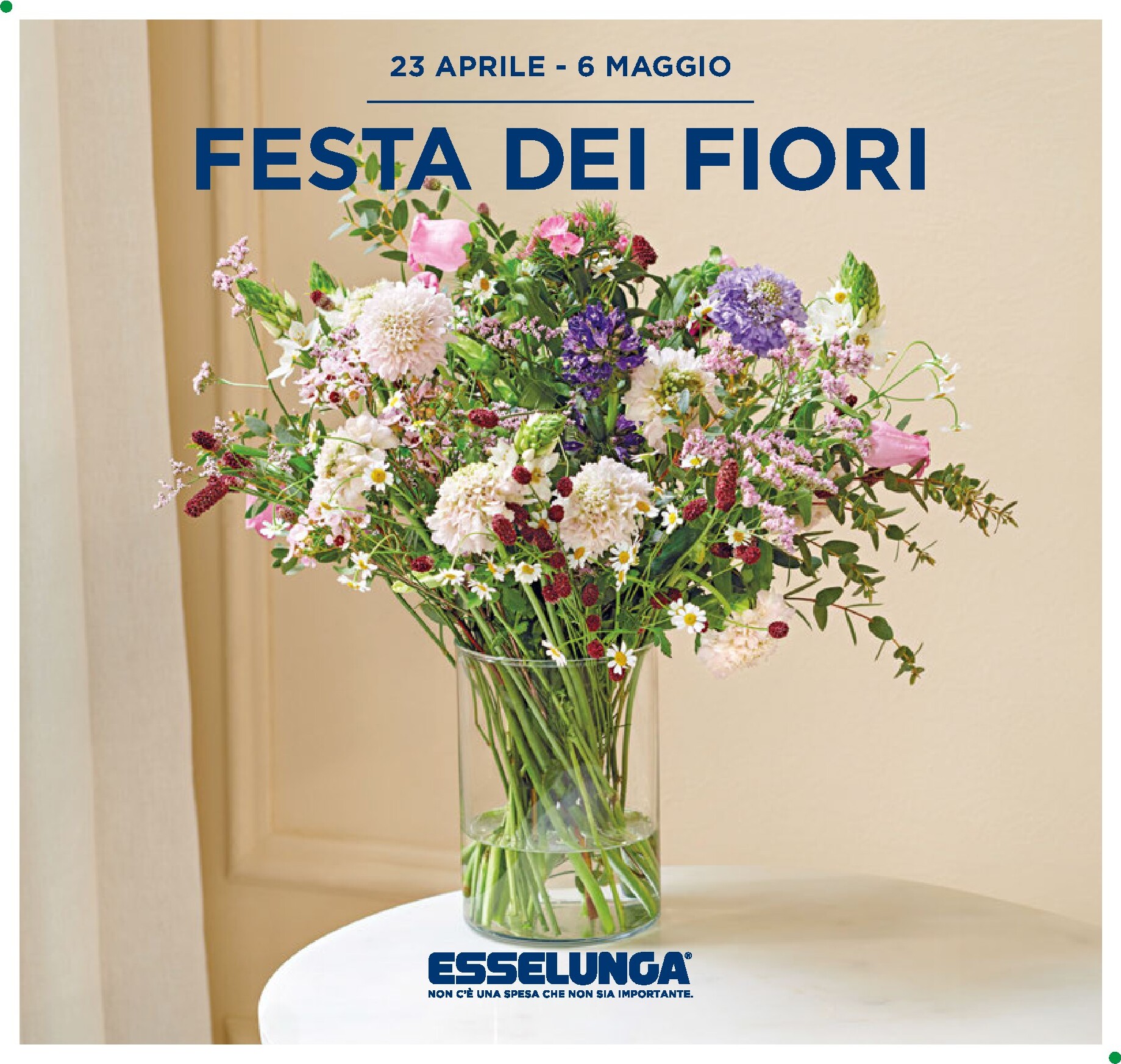 Volantino attuale di Esselunga - Festa dei Fiori valido dal giovedì 23/04/2026 al mercoledì 06/05/2026