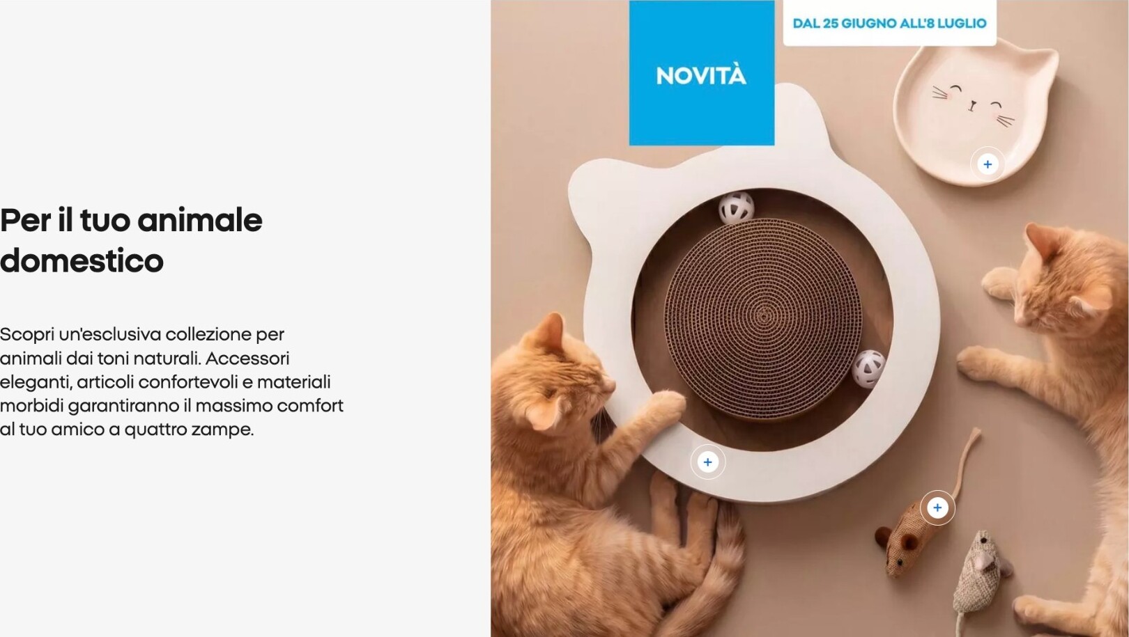 undefined 12