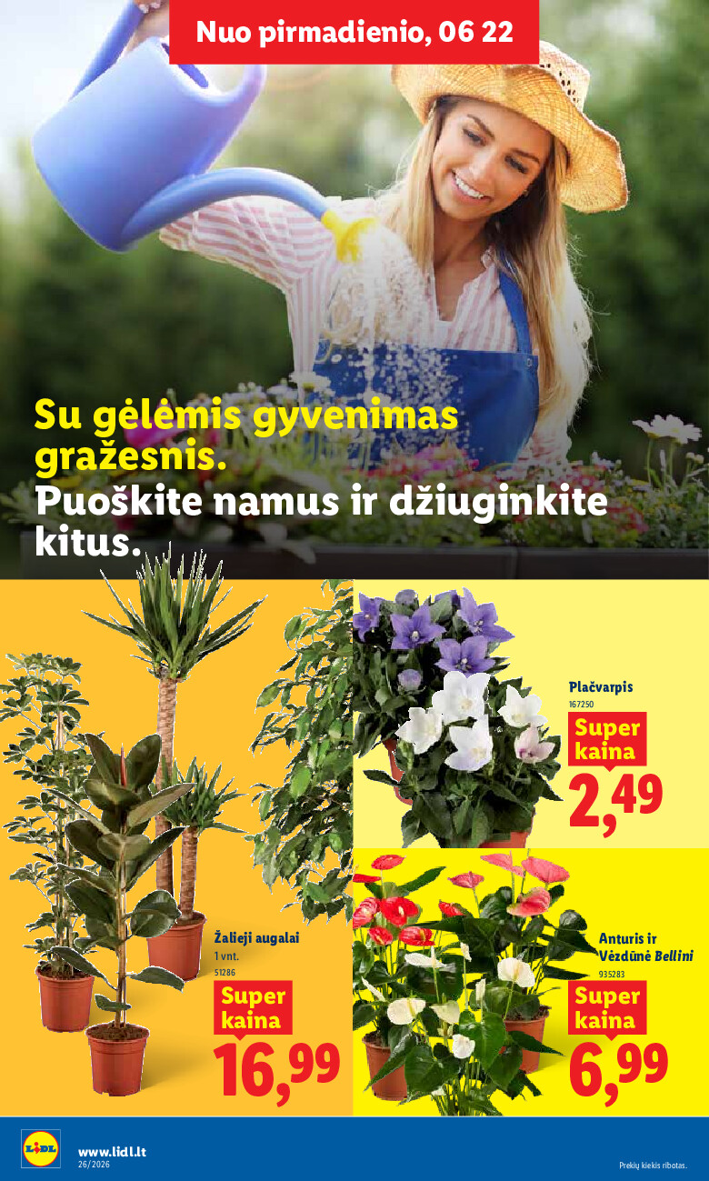 undefined 8