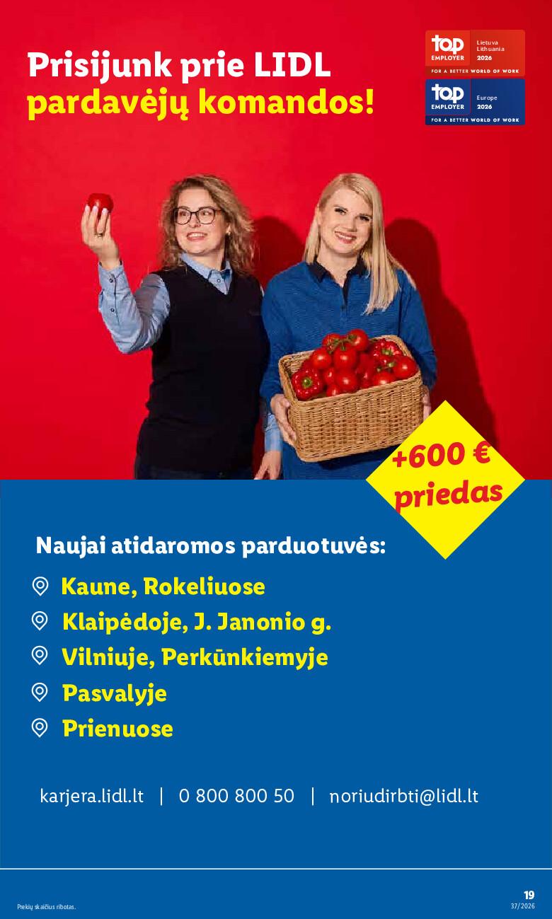 undefined 19