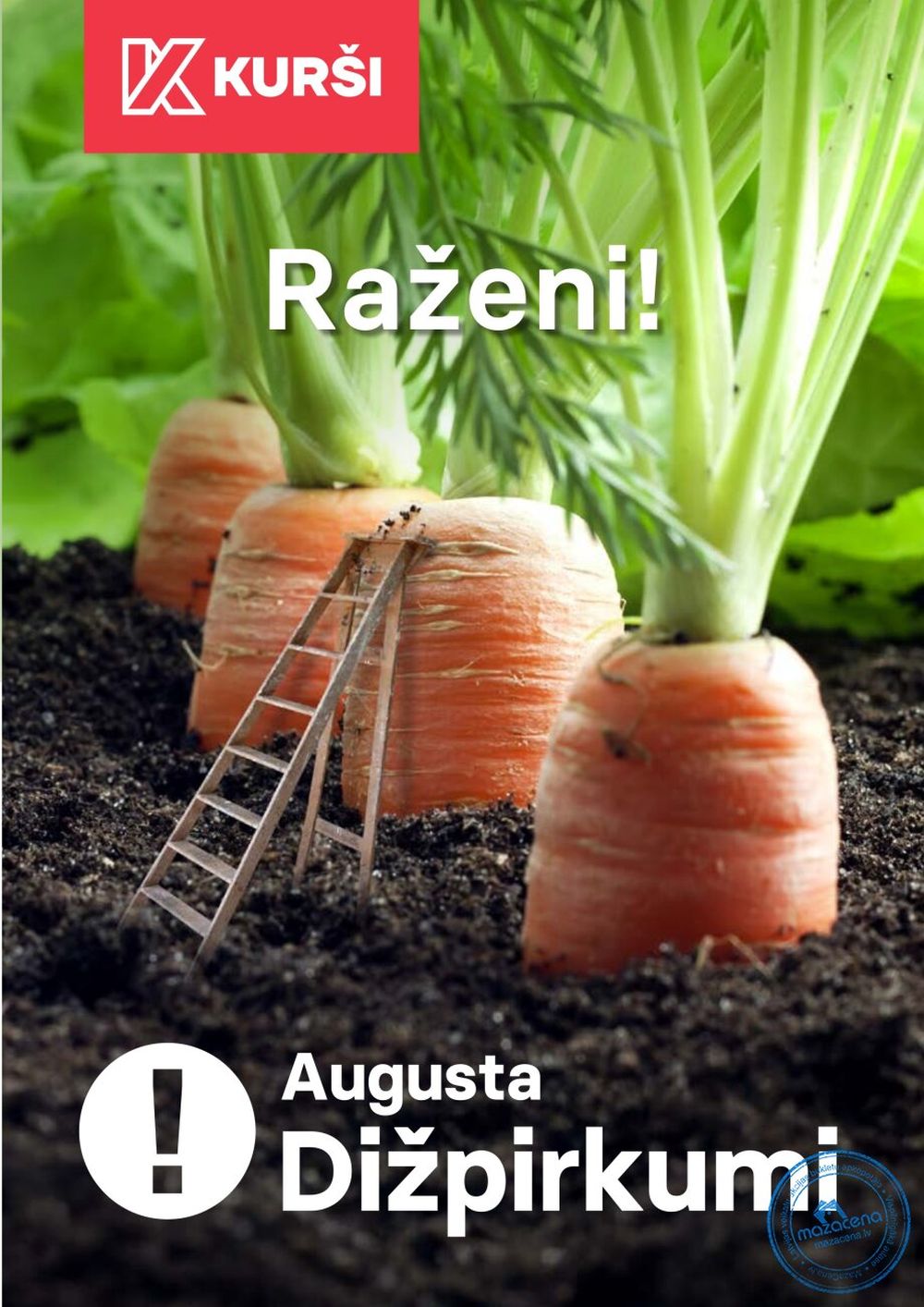 KURŠI (01.08.2025 - 31.08.2025)