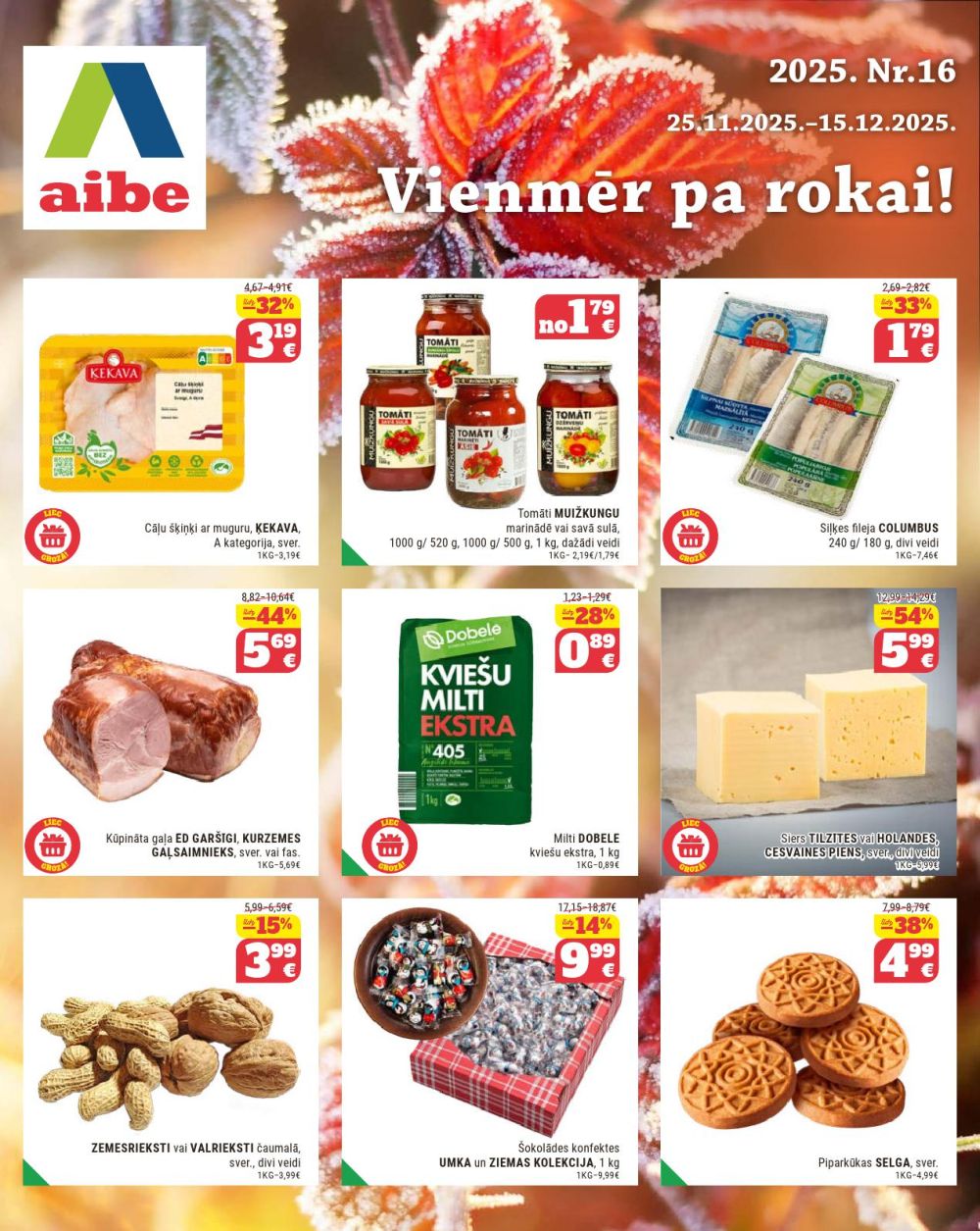 AIBE (25.11.2025 - 15.12.2025)