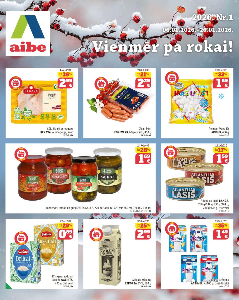 AIBE (06.01.2026 - 26.01.2026)