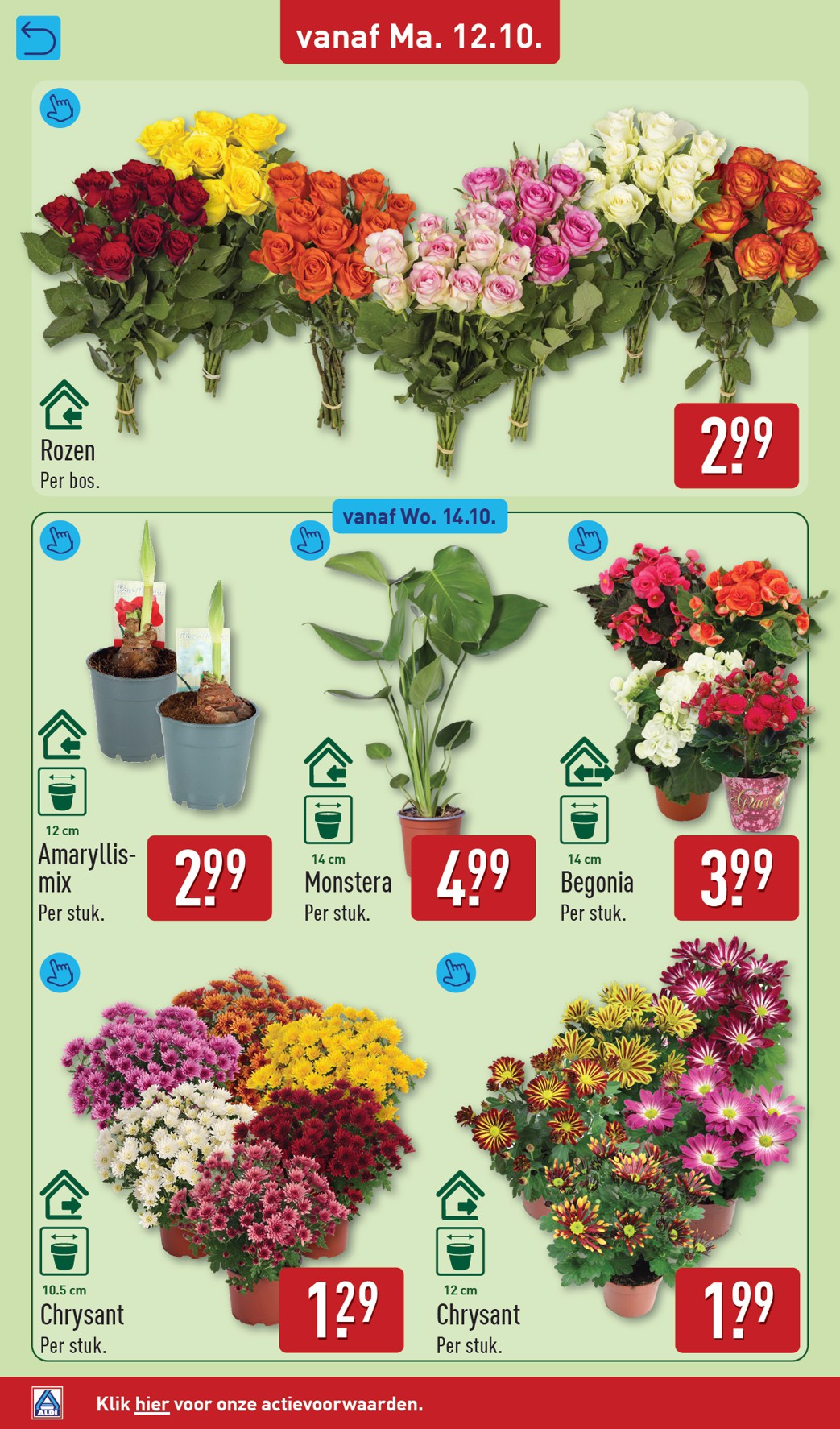 undefined 36