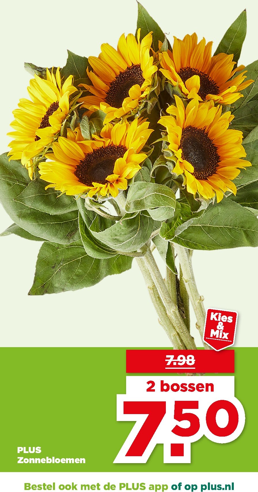 undefined 41