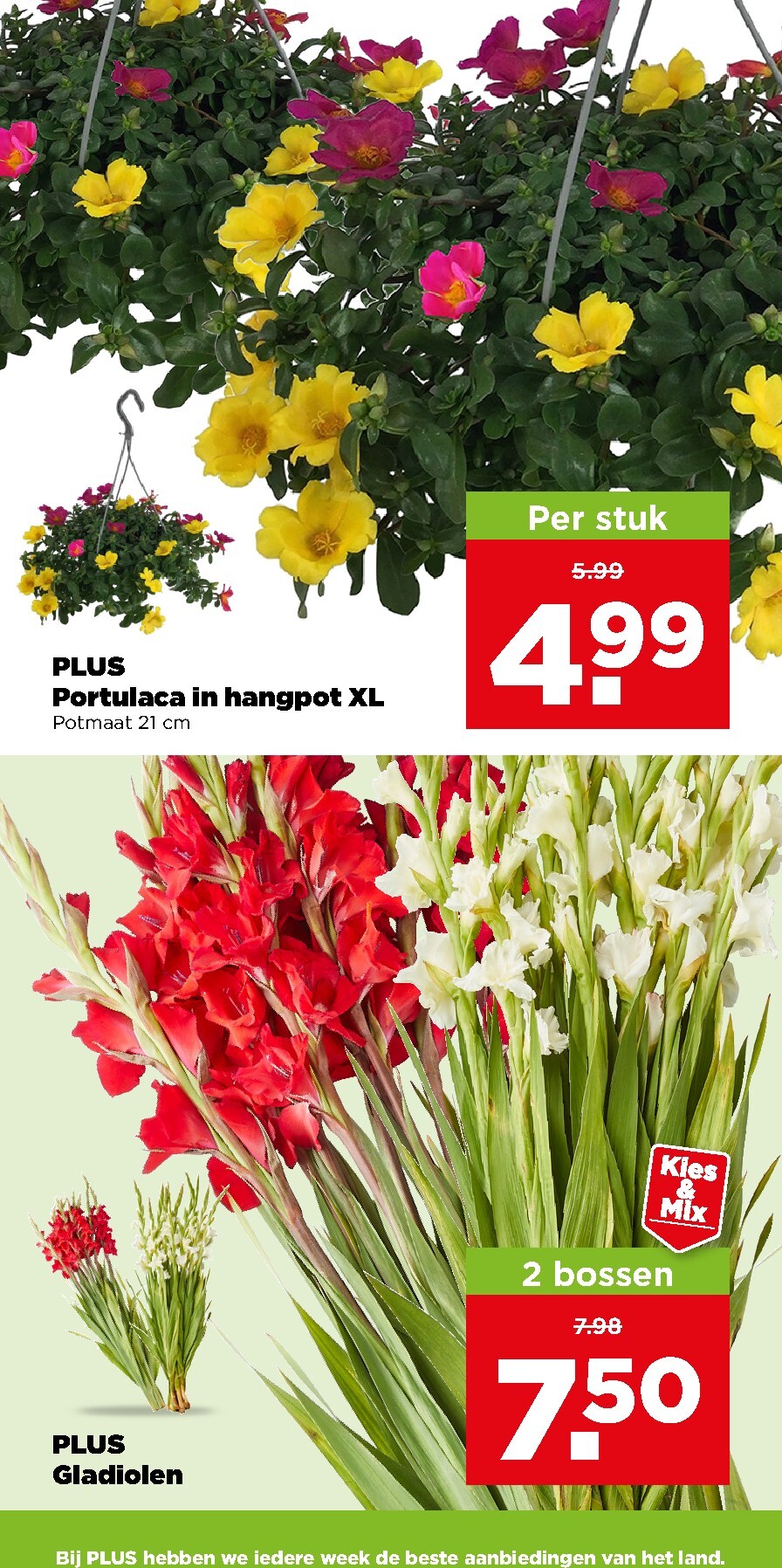 undefined 39