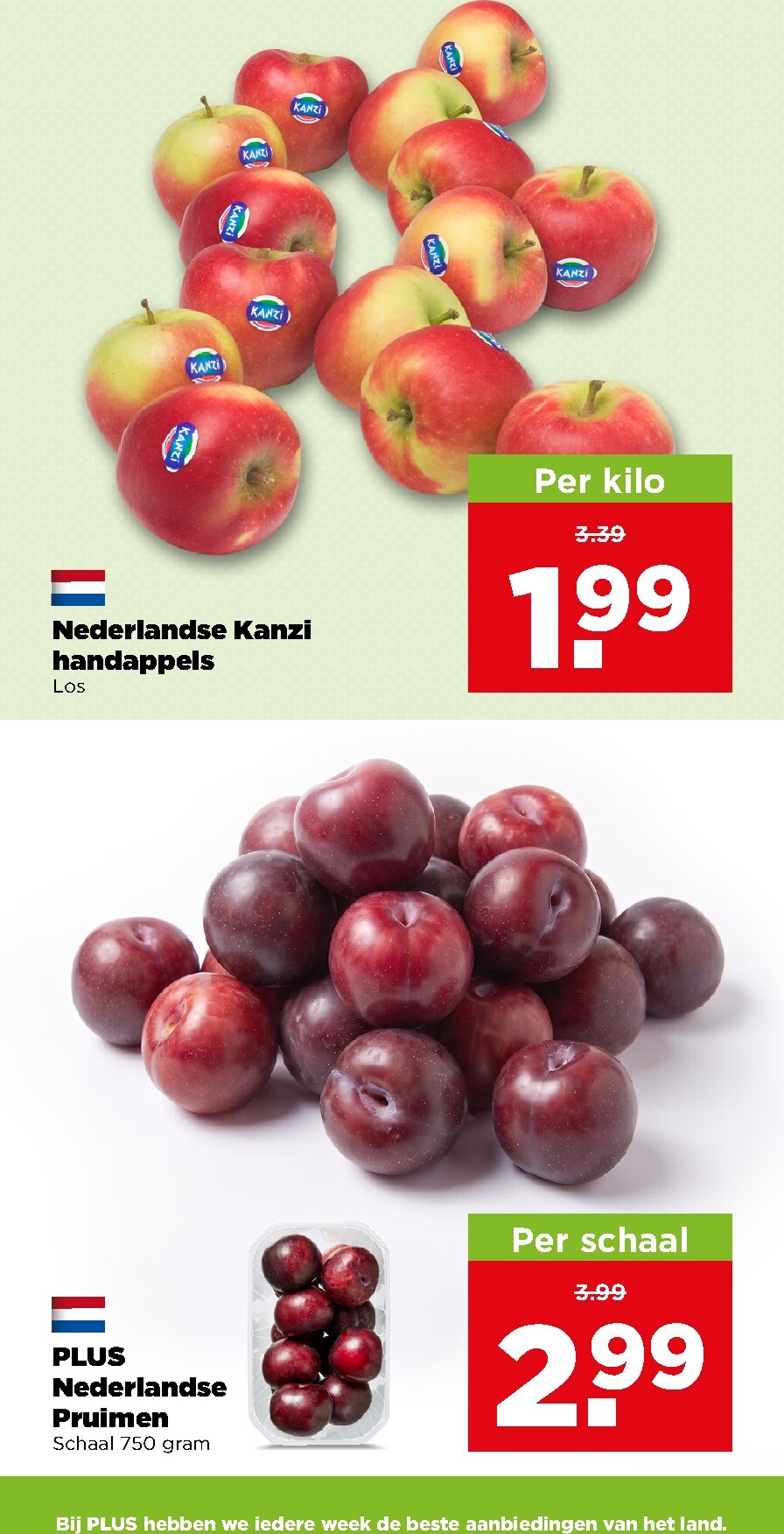 undefined 8