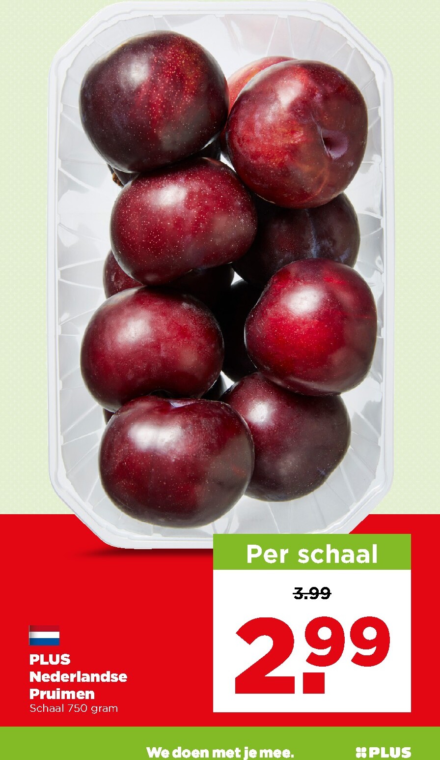 undefined 29