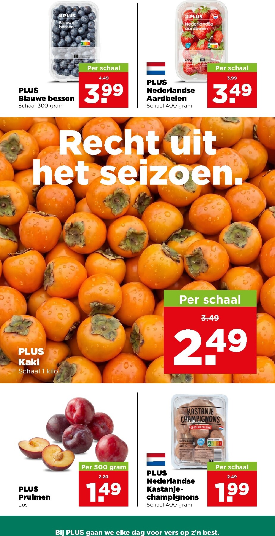 undefined 21