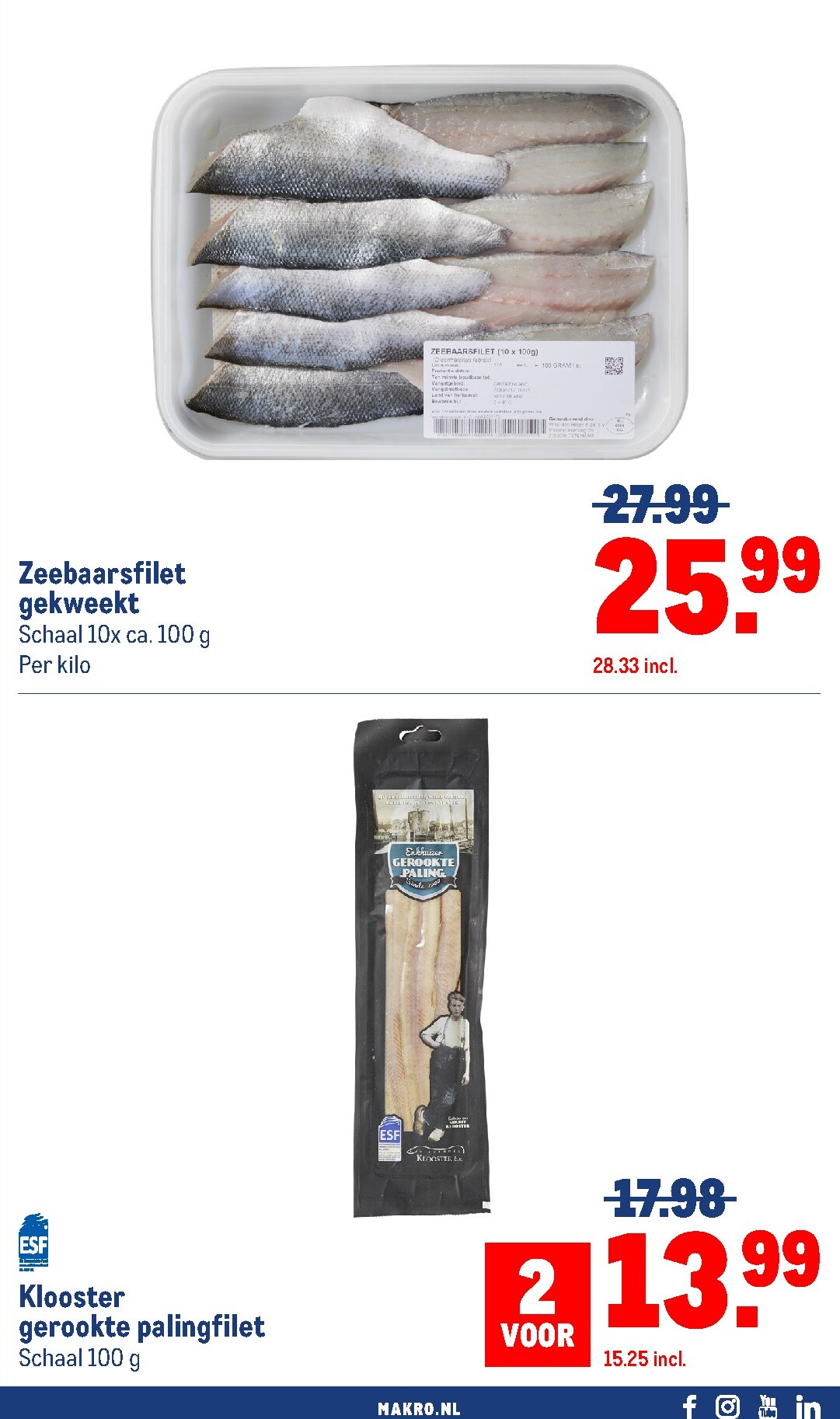 undefined 23