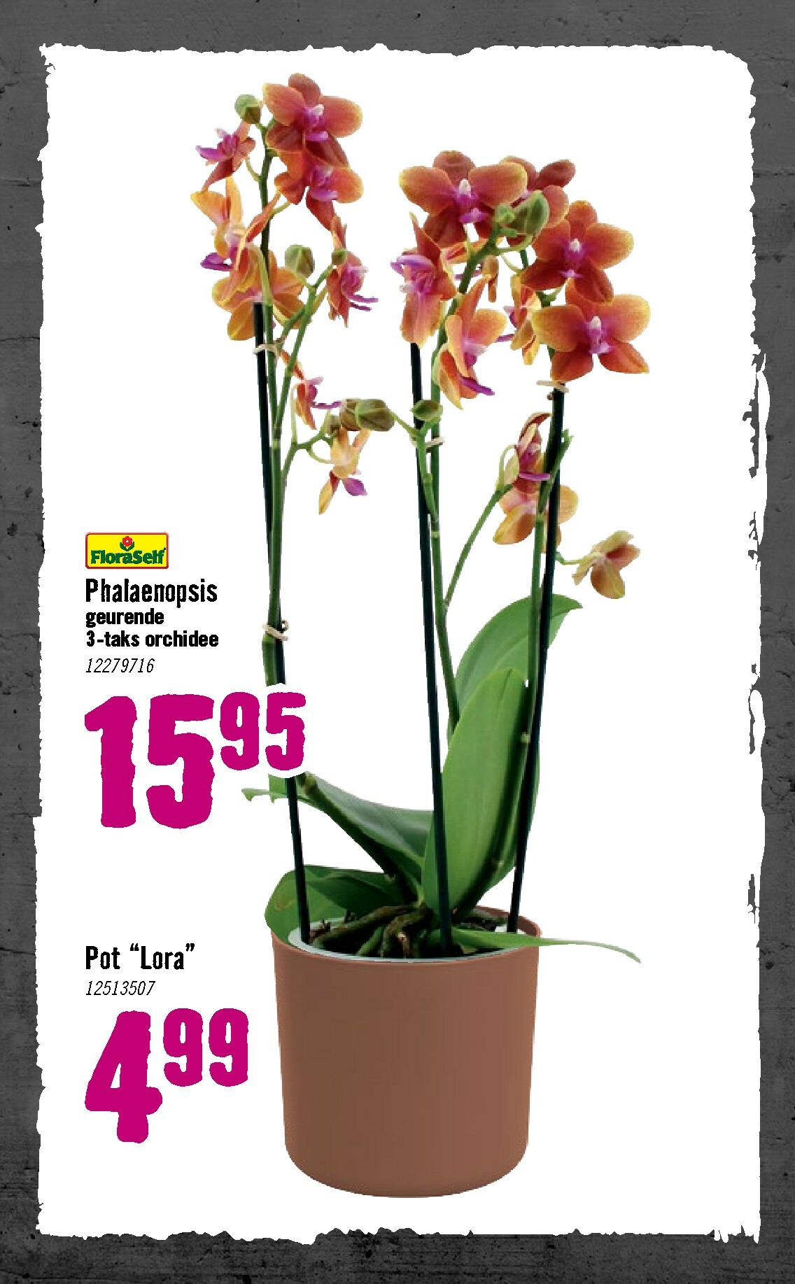 undefined 73