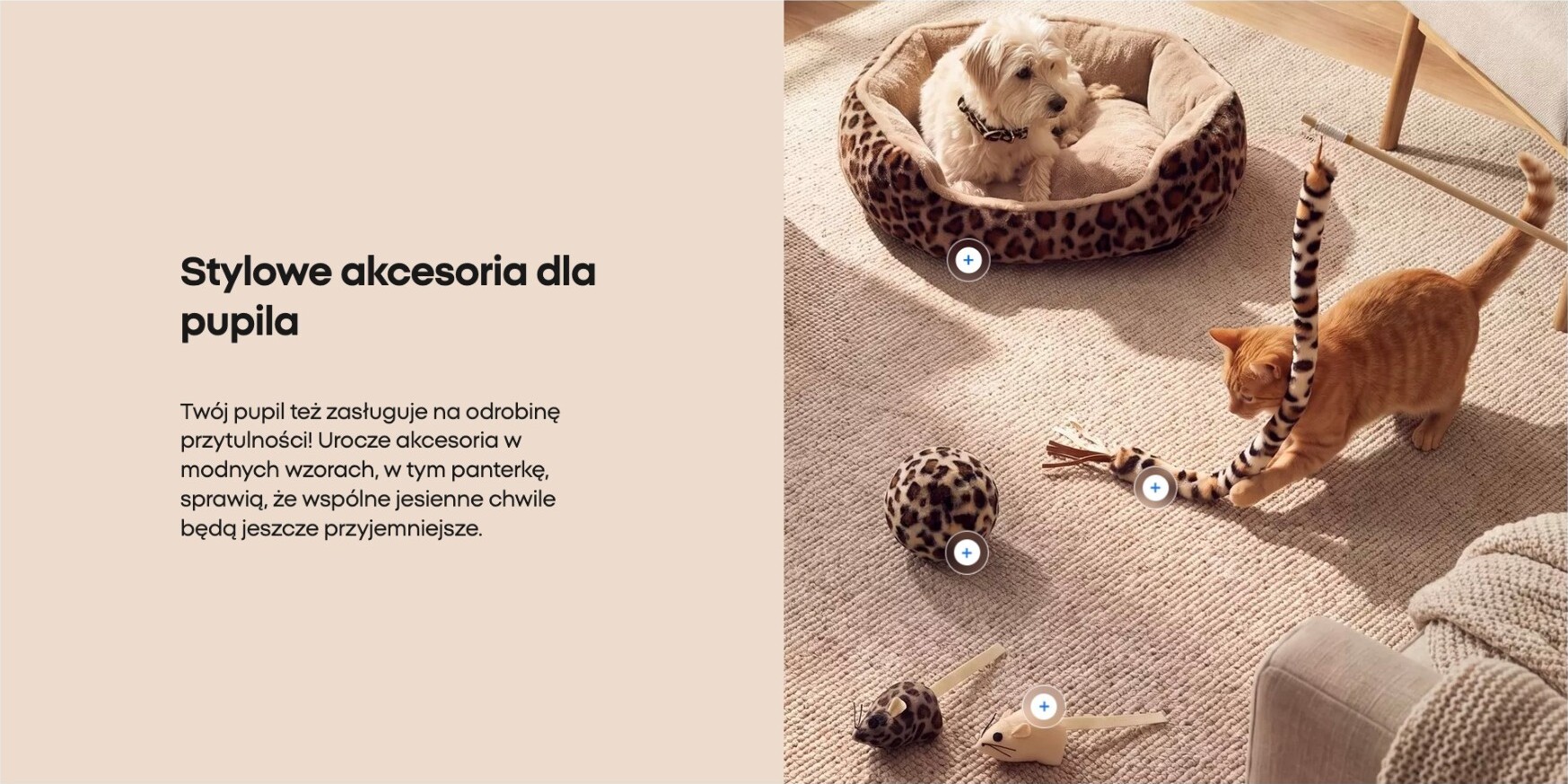 undefined 11