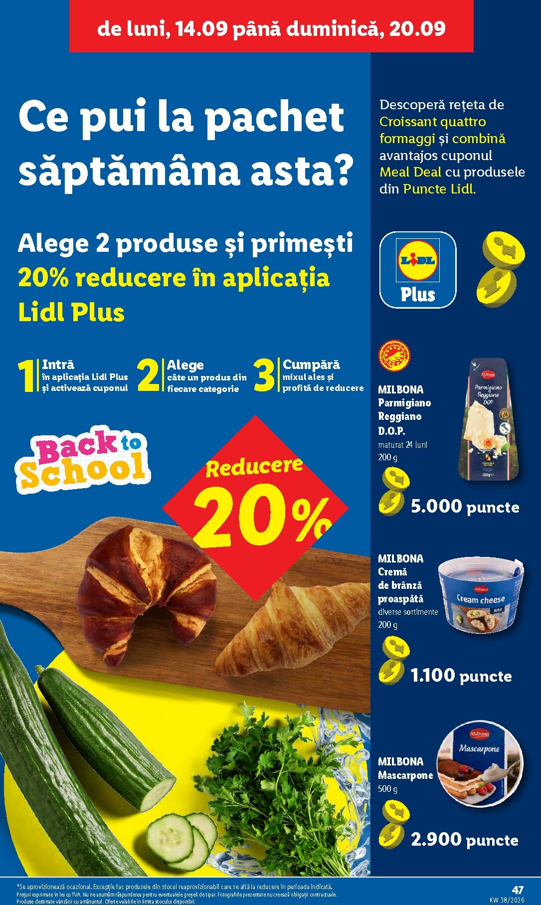 undefined 47