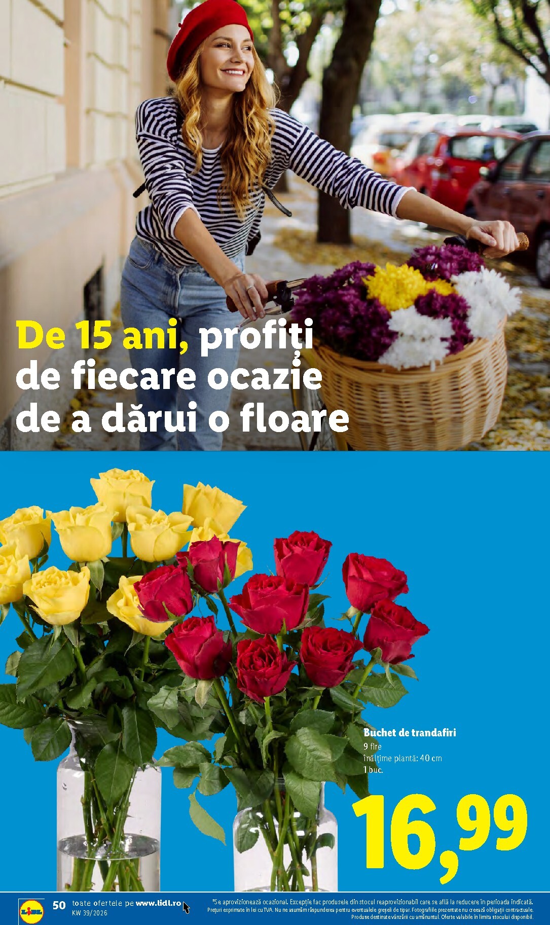 undefined 50
