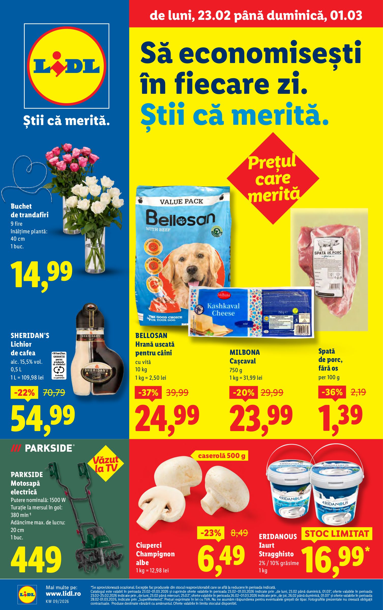 Ofertă incredibilă: LIDL are hrana pentru câini cu vită la 24,99 lei, Kaufland aduce mașina de polisat la 299,00 lei, iar Carrefour oferă mere Granny Smith la doar 6,99 lei! Verifică noutățile și reducerile de astăzi, 2026-02-25