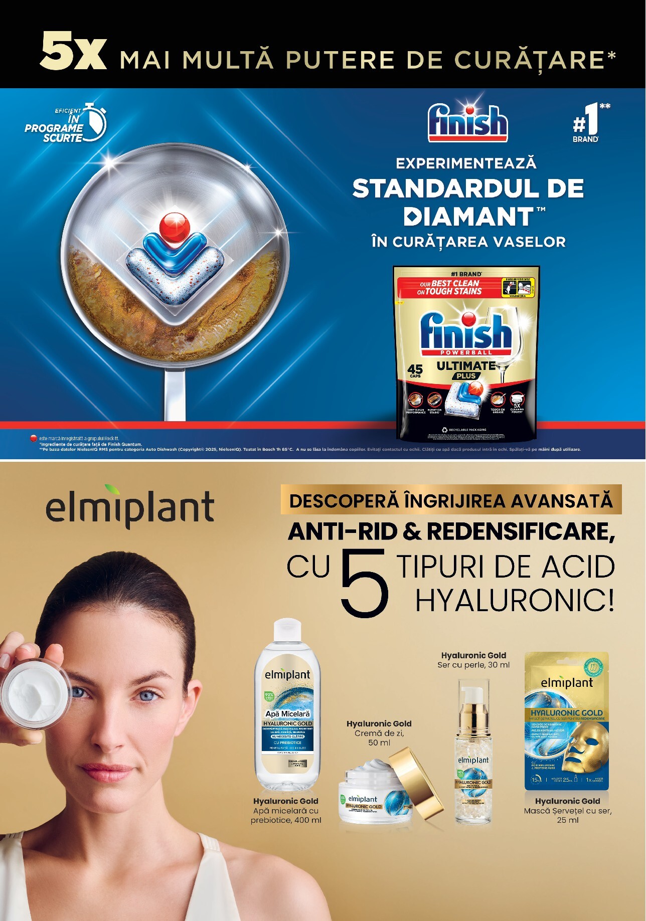 undefined 40