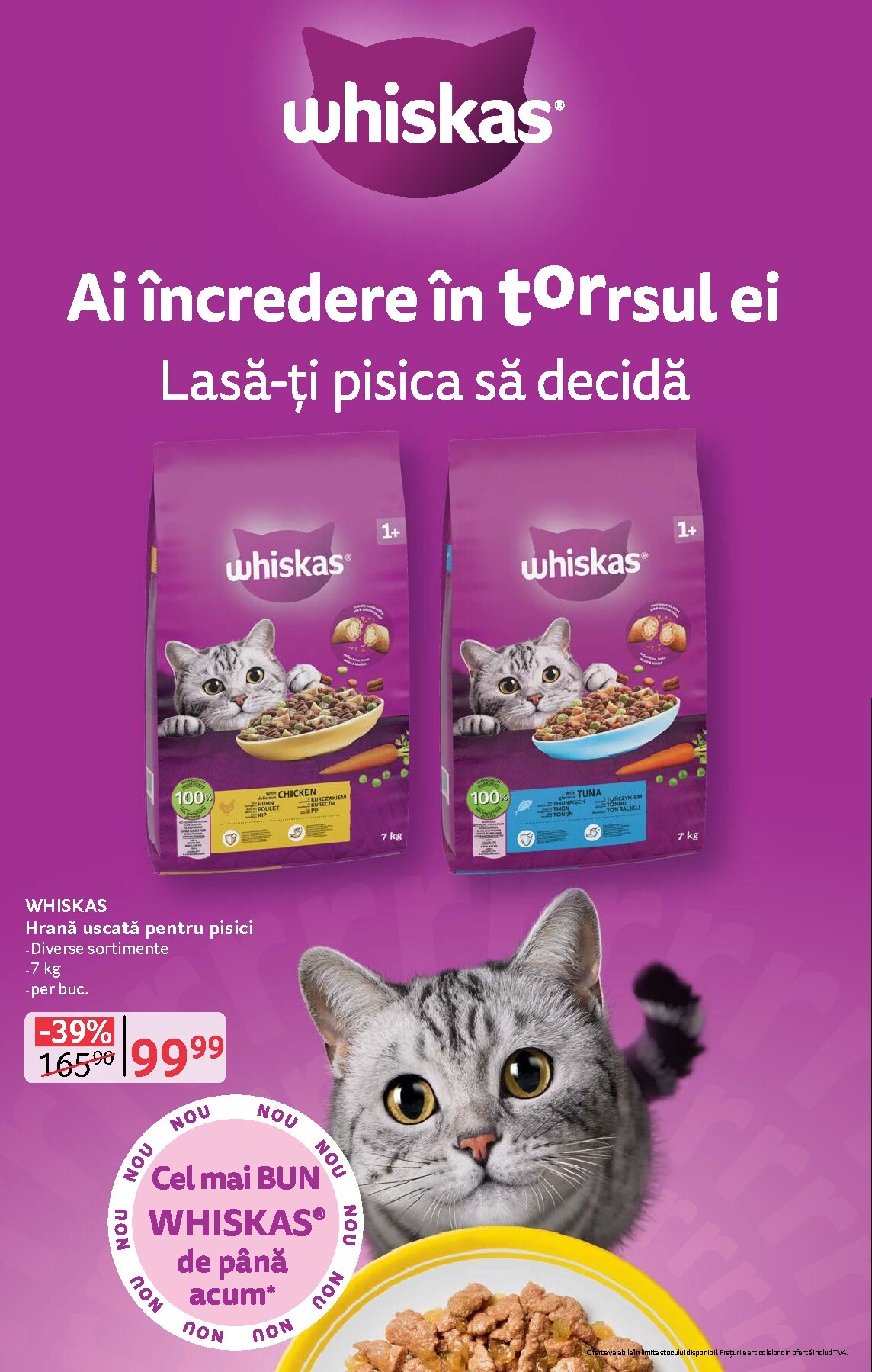 undefined 24