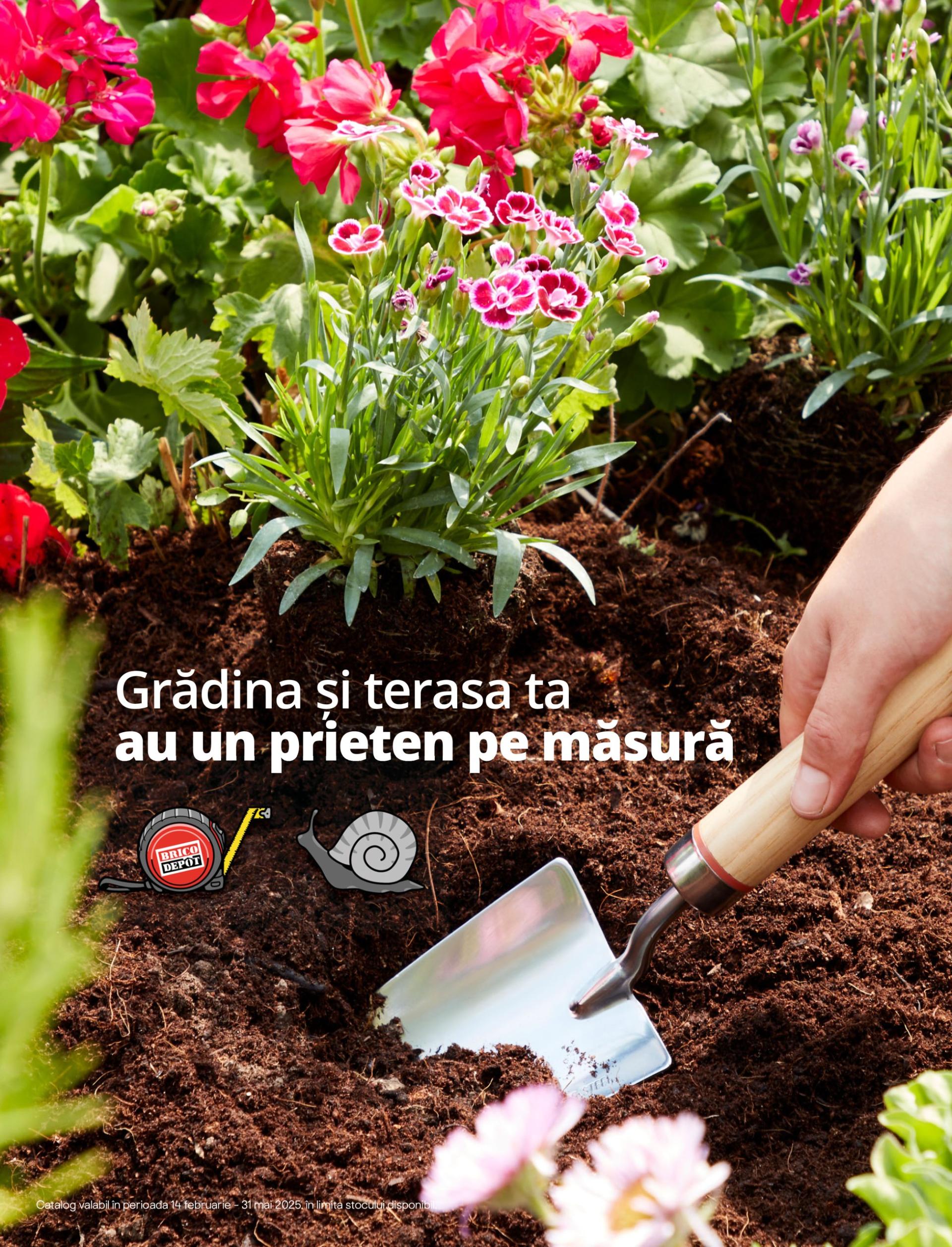 Catalog Brico Dépôt - Catalog Semințe valabil din 14.02. - 31.05.